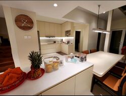 Zephyr Park (D16), Terrace #503869541